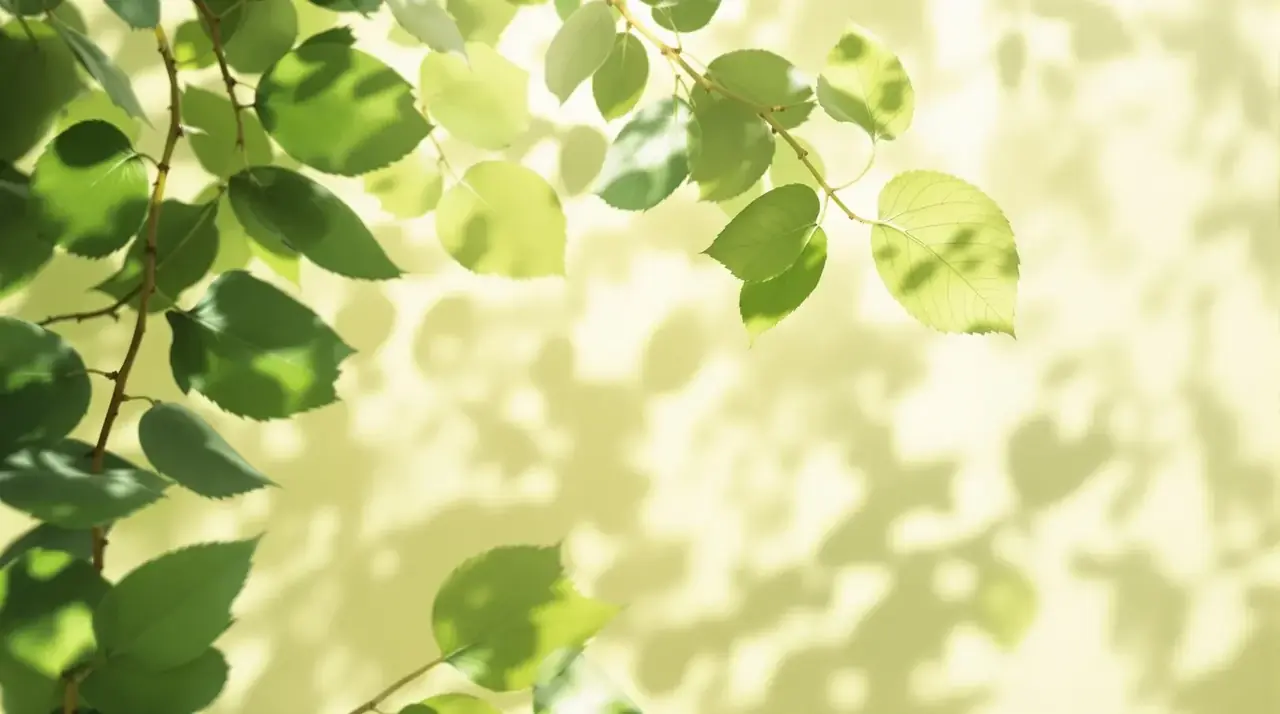 绿瓤影厅·夏梦放映 - 55影视 绿瓤影厅·夏梦放映